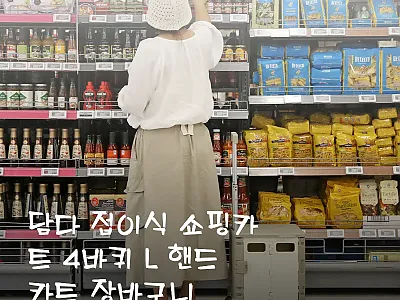 담다 접이식 쇼핑카트 4바퀴 L, 직 관련 이미지